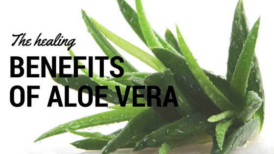 THE BENEFITS OF ALOE VERA