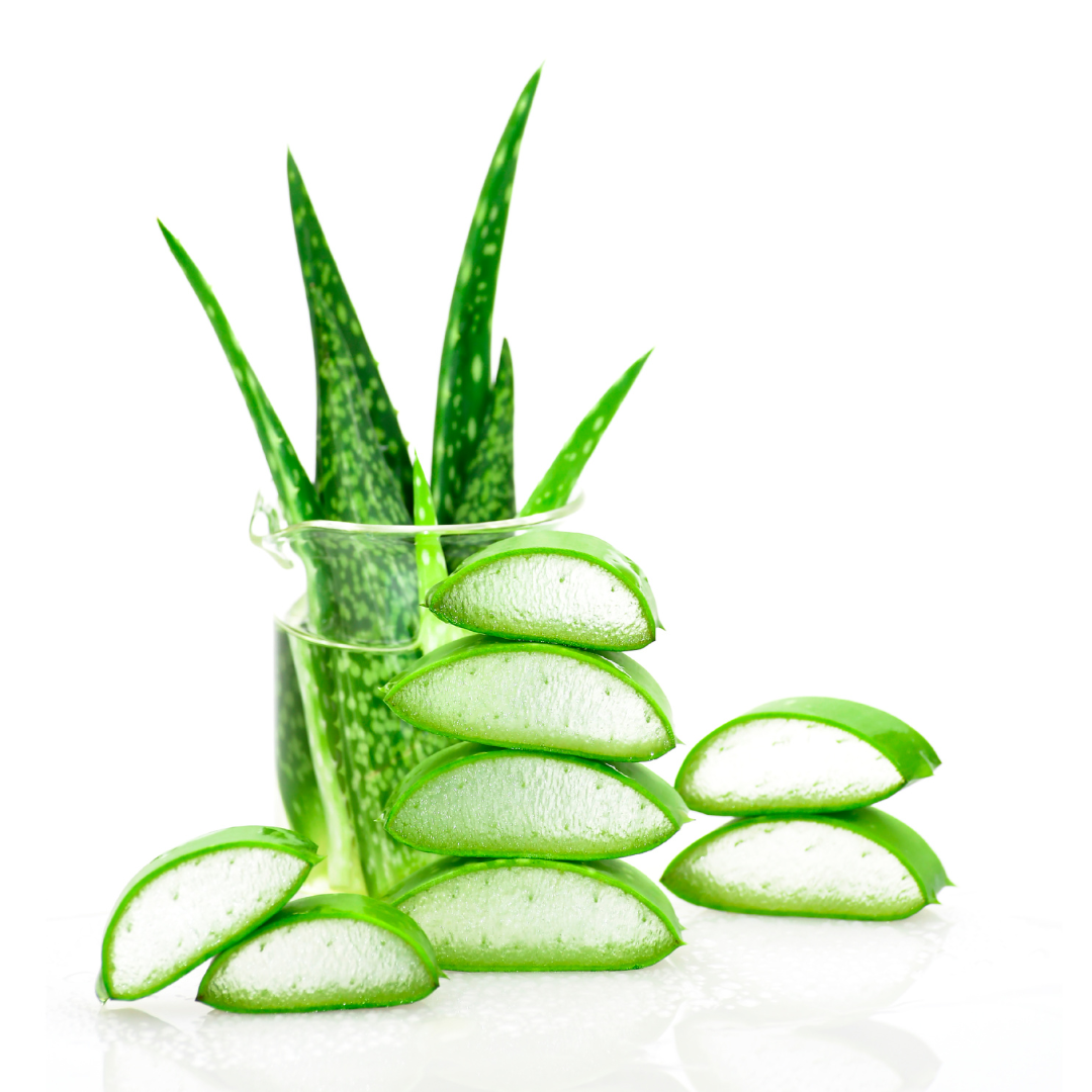 Say Hello to Aloe