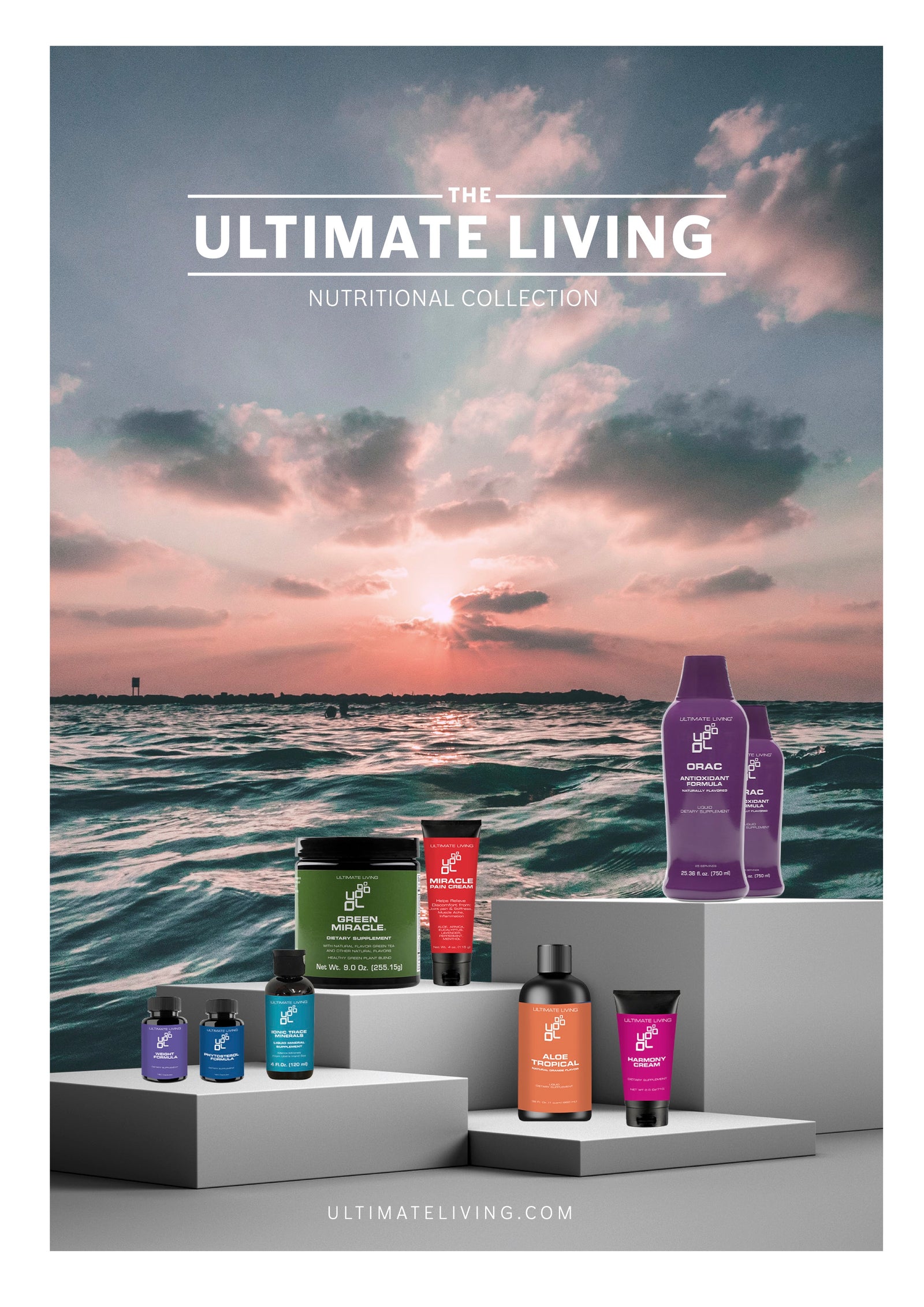 Total Body Wellness